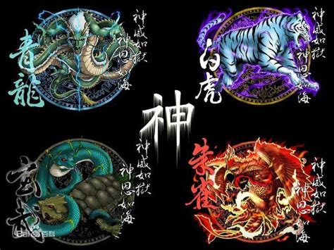 青龍 白虎 朱雀 玄武|青竜